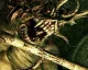 Hodina z hraní parádně vypadajícího akčního RPG Dark Souls III