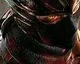 Ninja Gaiden 3 má krvavý teaser