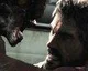 Nová hra od Naughty Dog je zatím v pre-produkci
