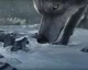 Čas spuštění Destiny: Rise of Iron