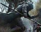 Ubisoft: Pracujeme na opravě frameratu a chyb hry Assassin’s Creed Unity