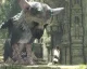 Shuhei Yoshida o rozpočtu pro The Last Guardian