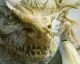Square Enix oznámil nové velké RPGčko Project Prelude Rune