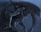 SEGA láká trailerem na předobjednávku Aliens: Colonial Marines
