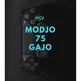 modjo75gajo